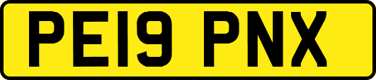 PE19PNX