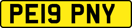 PE19PNY