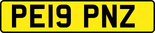 PE19PNZ