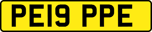PE19PPE