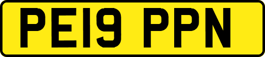 PE19PPN
