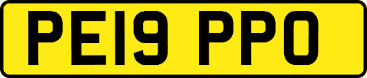 PE19PPO