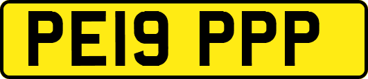 PE19PPP