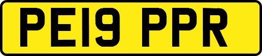 PE19PPR