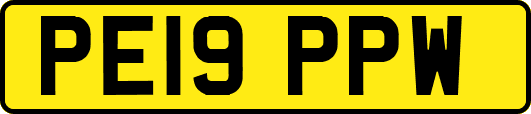 PE19PPW