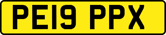 PE19PPX