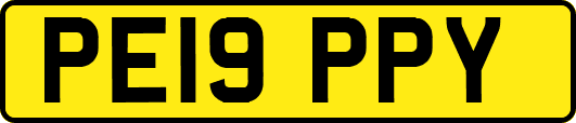PE19PPY