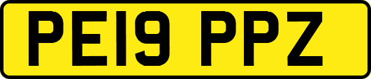 PE19PPZ