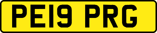 PE19PRG