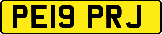 PE19PRJ