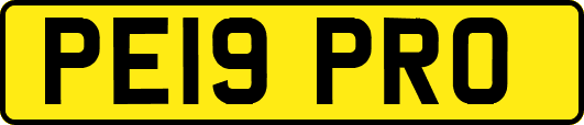 PE19PRO