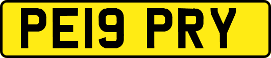 PE19PRY