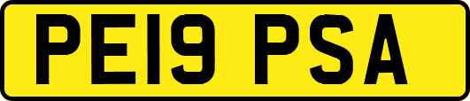 PE19PSA