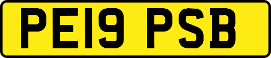 PE19PSB