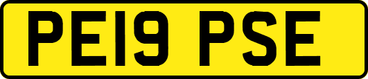 PE19PSE