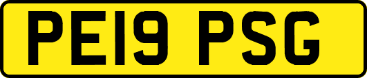 PE19PSG