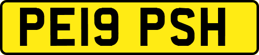 PE19PSH