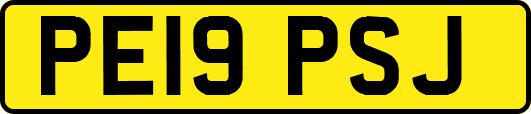 PE19PSJ