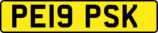 PE19PSK