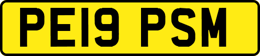 PE19PSM
