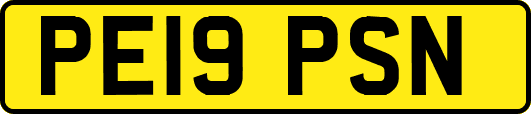 PE19PSN