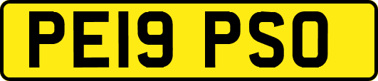 PE19PSO