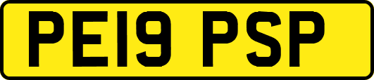 PE19PSP