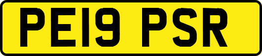 PE19PSR