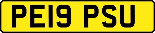 PE19PSU