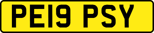 PE19PSY