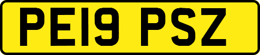 PE19PSZ