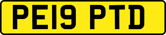 PE19PTD