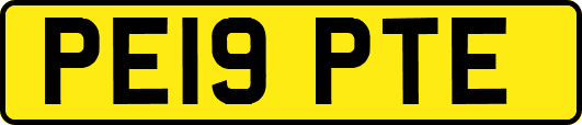 PE19PTE