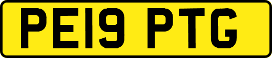 PE19PTG