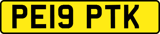 PE19PTK