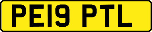 PE19PTL