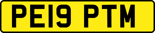 PE19PTM