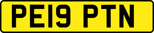PE19PTN
