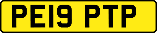 PE19PTP