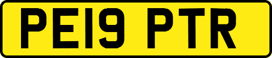 PE19PTR