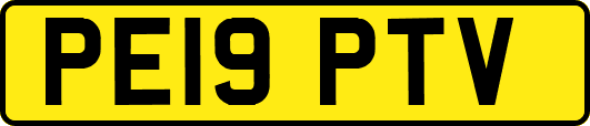 PE19PTV