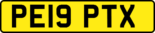 PE19PTX