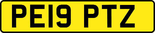 PE19PTZ