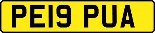 PE19PUA