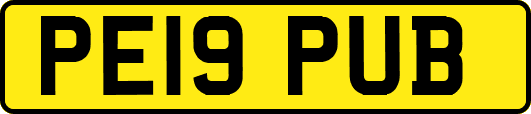 PE19PUB