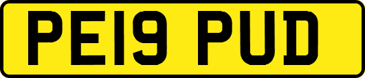 PE19PUD