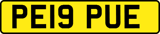 PE19PUE