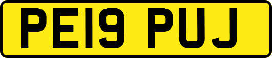 PE19PUJ