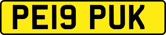 PE19PUK