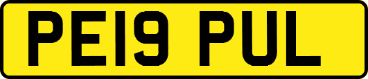 PE19PUL